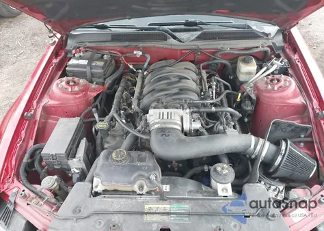 2006 Ford Mustang Gt z USA, uszkodzony, nr VIN 1ZVHT82H265227503